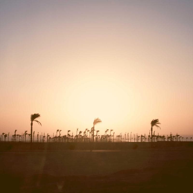 Custom Comic Portrait