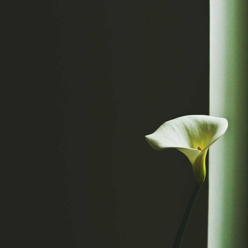 Engraved Photo Pendant — personalized custom gift example