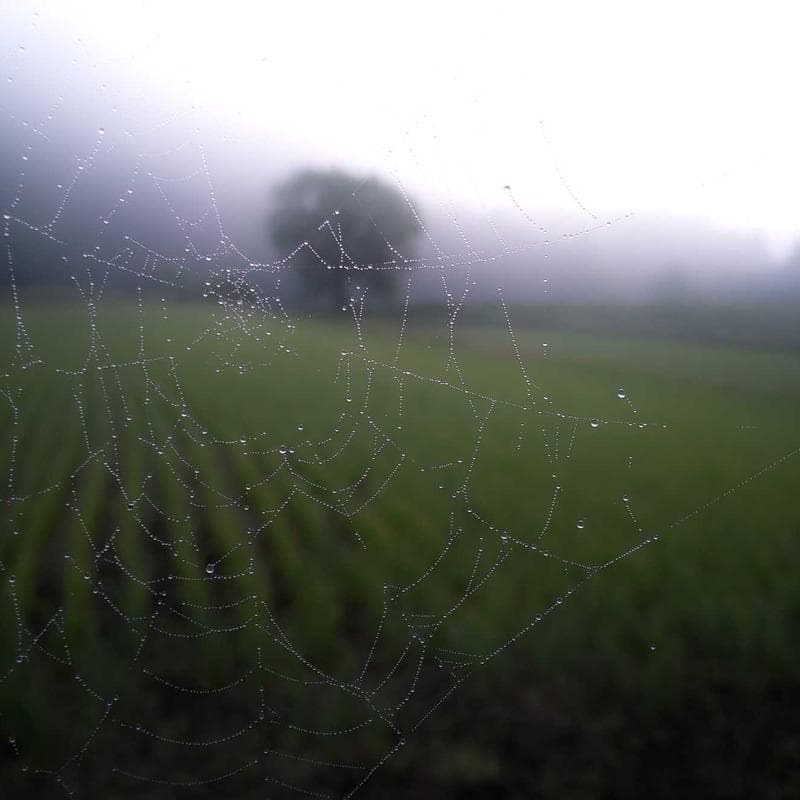 Portrait Famille Aquarelle 2