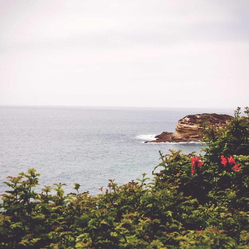 Puzzle Foto Personalizado 500 Piezas 2